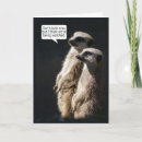 Recherche de meerkat vœux cartes Humour