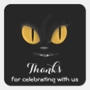 Recherche de chatons autocollants Chat noir