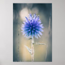 Recherche de chardon posters Nature