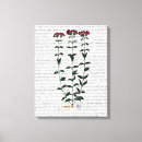 Suche nach steampunk leinwandbilder Blume
