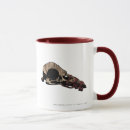 Recherche de orcs tasses Bolg