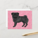 Recherche de teckel cartes postales Amoureux des chiens