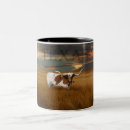 Suche nach texas longhorn tassen Stier
