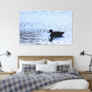Suche nach wildlife leinwandbilder Natur