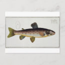 Suche nach salmo poster Leben