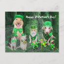 Recherche de leprechauns cartes postales Drôle