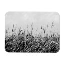 Suche nach dünen magnete Landschaften