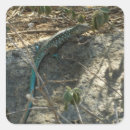 Suche nach lizard aufkleber Natur