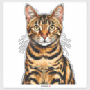 Recherche de pélagique autocollants Animal