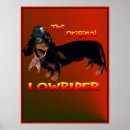 Suche nach lowrider poster Hund
