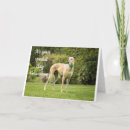 Suche nach whippet geburtstag karten Enkel