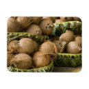 Recherche de polynésie magnets Pacifique sud