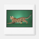 Suche nach bengalische katze magnete Tiere