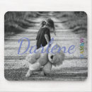 Recherche de teddy tapis souris Drôle
