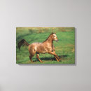 Suche nach appaloosa leinwandbilder Foto