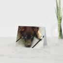 Suche nach traurige augen karten Hund