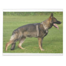 Suche nach schäferhund notizblock Hunde