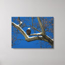 Suche nach blaue vögel poster leinwandbilder Baum