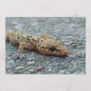 Recherche de lézard invitations Faune