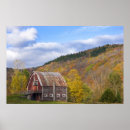 Suche nach greem poster Baum