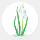 Recherche de fleur de neige autocollants Floral