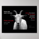 Suche nach simsen sie poster Handy