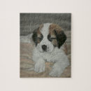 Recherche de st bernard puzzles Chiot