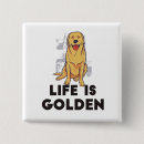 Recherche de golden retriever badges Chien