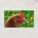 Recherche de rhodes cartes visite Poulet