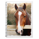 Suche nach pferd notizbuch Nutztier