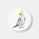 Suche nach niedlicher papagei magnete Vögel