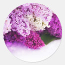 Suche nach flieder aufkleber Violett