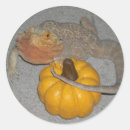 Suche nach lustiger drache aufkleber Tier