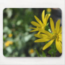 Recherche de marguerite jaune tapis souris Pétales