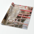 Recherche de rodeo papier cadeau Pays