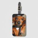 Recherche de animaux bagages étiquettes Étiquettes de bagage