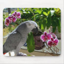 Suche nach afrikanischer vogel mousepads Grau