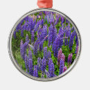 Suche nach lupinen ornamente Texas