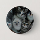 Suche nach korb buttons Kätzchen