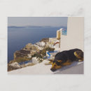 Recherche de comportement de chien posters Extérieur