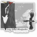 Suche nach großer vogel autoaufkleber Vogelvogel