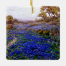 Recherche de san antonio ornements Texas