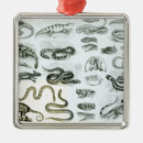 Suche nach schlangen ornamente Englisch