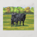 Suche nach niedliches kalb postkarten Vieh