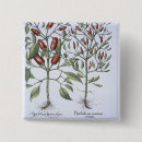 Recherche de piment badges Poivre