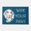 Recherche de teckel paillassons Chiot