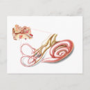 Recherche de membrane cartes postales Soins de santé