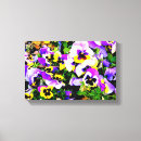 Suche nach stiefmütterchen leinwandbilder Mit blumen