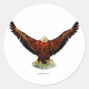 Recherche de oiseau de proie autocollants Aigle