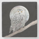 Recherche de pierre de la lune Pour tous
